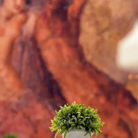 Passion Nocleg ze śniadaniem