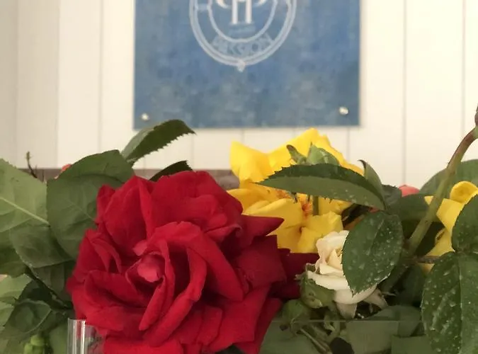 Passion לינה וארוחת בוקר פומפיי