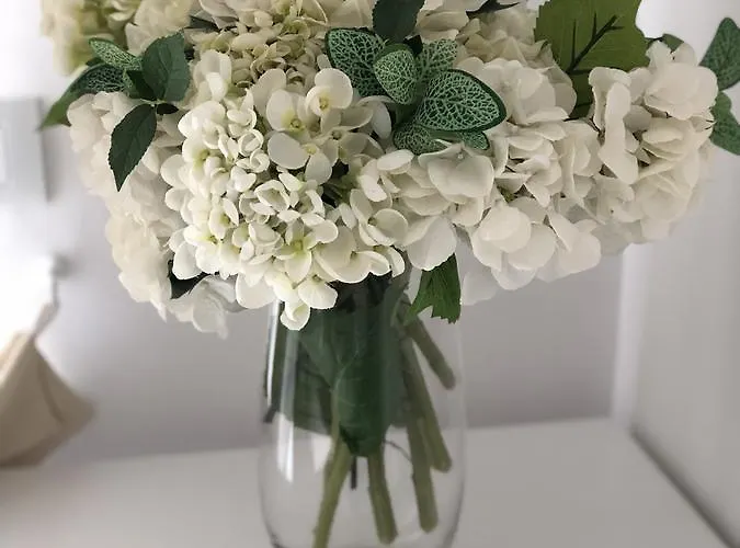 Passion 4* פומפיי